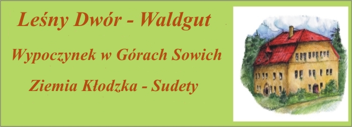 WaldgutKopf